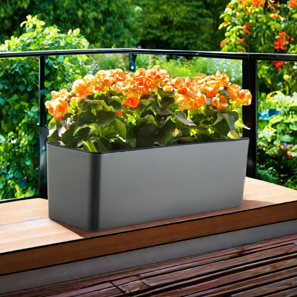 Ivy Bronx Planter Wayfair